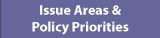 Link to Issue Areas and Policy Priorities