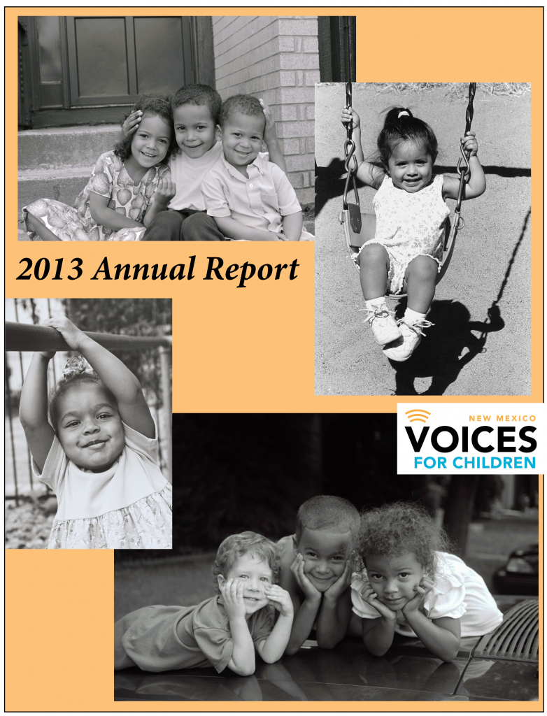 2013 annual report-cover